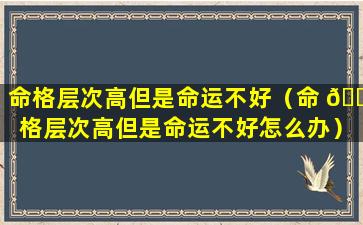 命格层次高但是命运不好（命 🌷 格层次高但是命运不好怎么办）